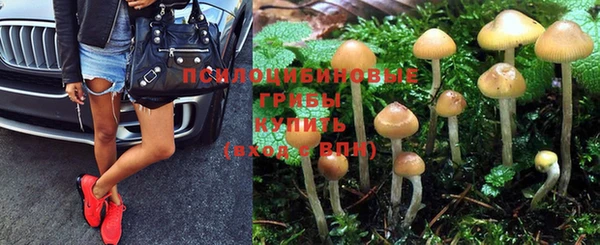 альфа пвп Магас