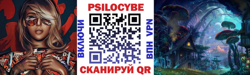 Купить закладки  Аргун  Псилоцибиновые грибы Psilocybe 